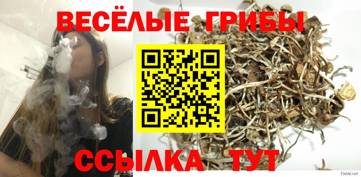 Сердобск  Псилоцибиновые грибы мицелий  Вход с VPN 