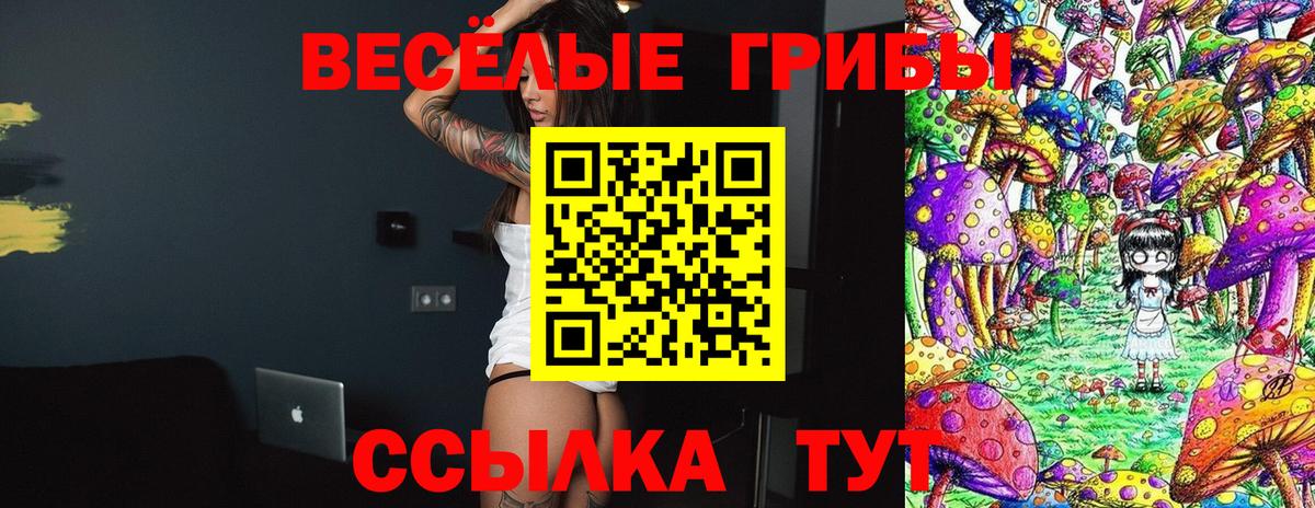 Псилоцибиновые грибы Magic Shrooms Сердобск